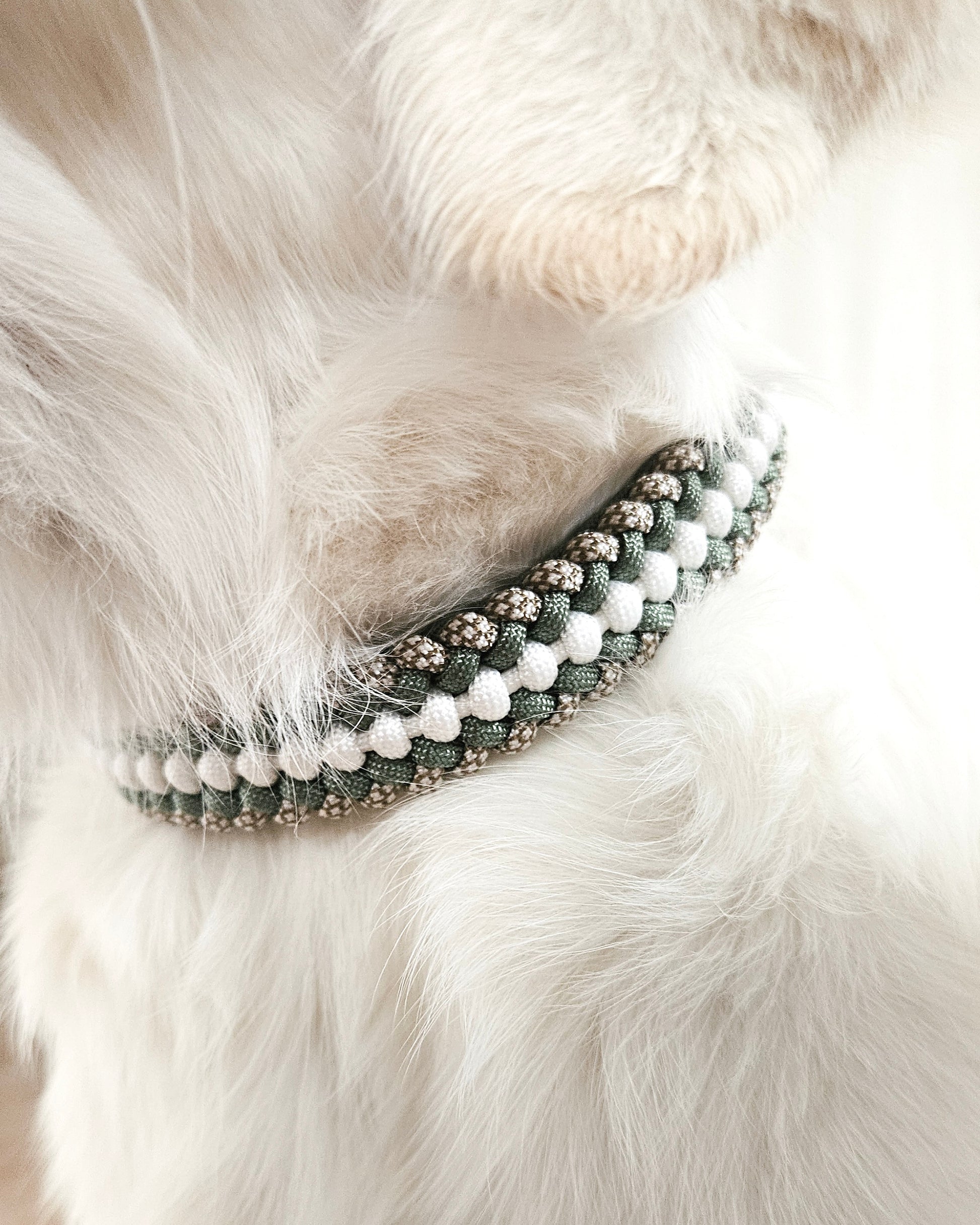 Halsband Frieda im Foggy Grün, Weiß und Gold Braun/ Cream Diamonds am Hund