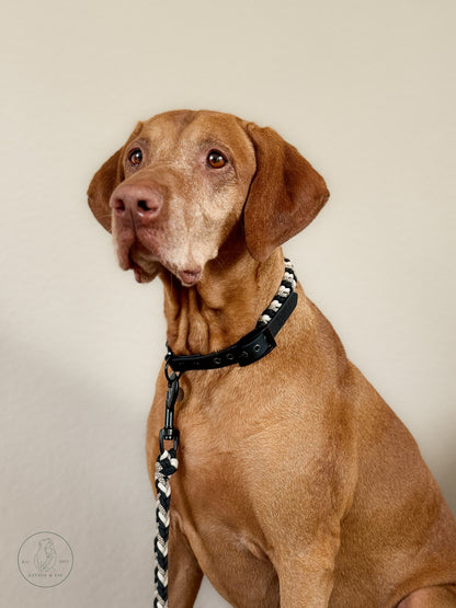 Halsband Antharis in Schwarz/ Beige am Hund 