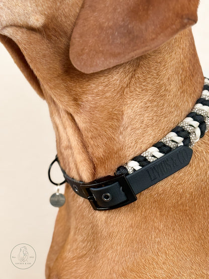 Halsband Antharis in Schwarz/ Beige am Hund 