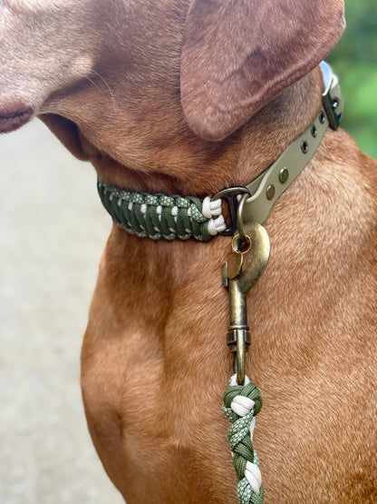Halsband Charlie am Hund