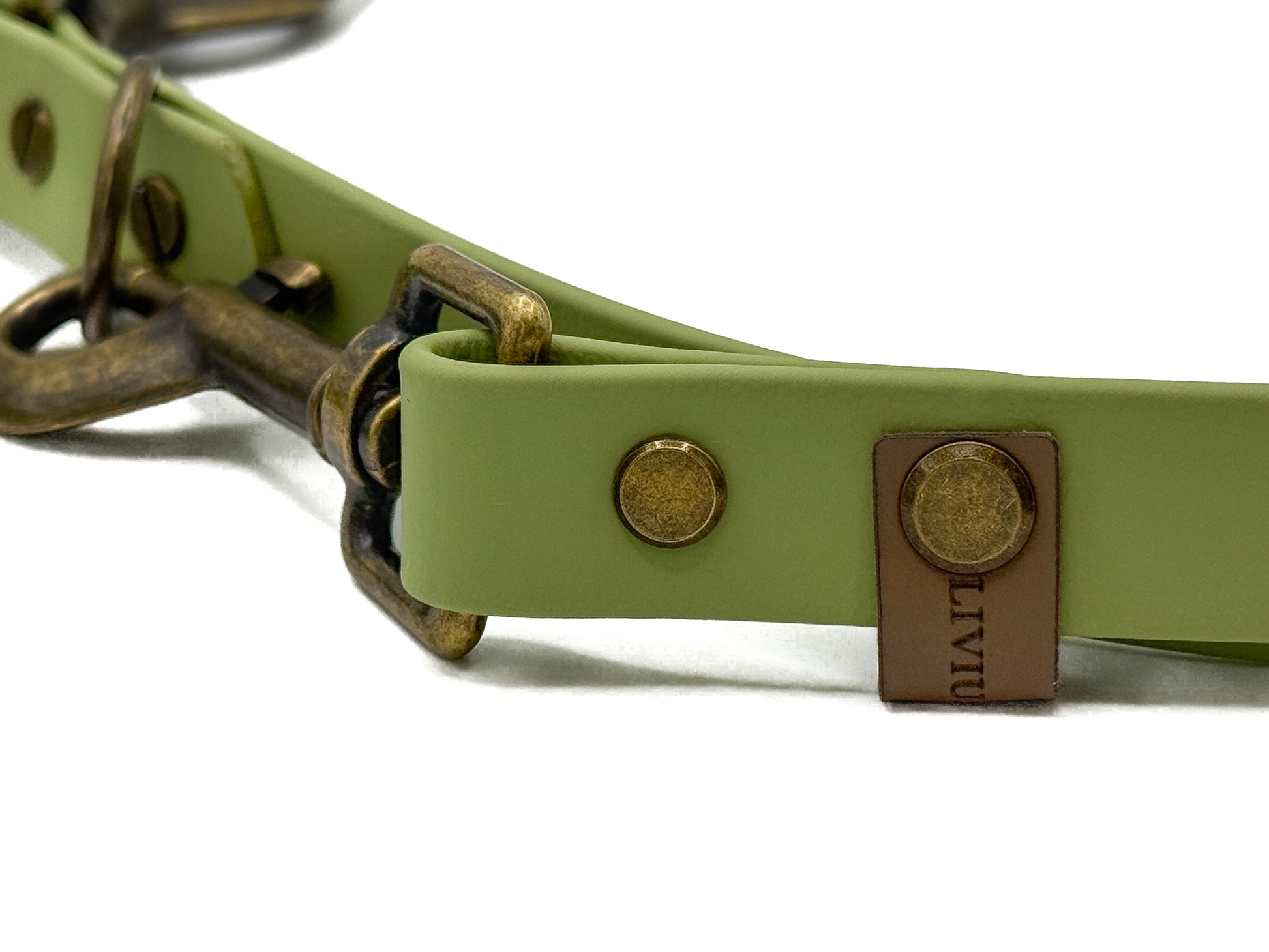 Handgefertigte Hundeleine aus Biothane in Guacamolegrün mit antikfarbenen Karabinern und 2 Ringen.